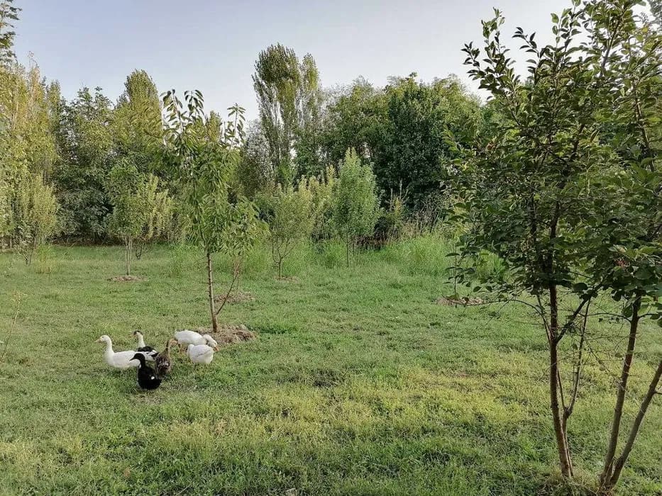 Vacant land plot for sale