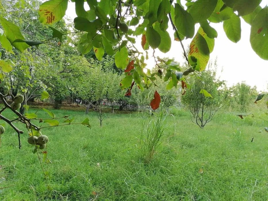 Vacant land plot for sale