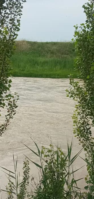 Dry land for sale: A quiet place with fresh air located by the river