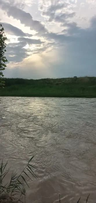Dry land for sale: A quiet place with fresh air located by the river