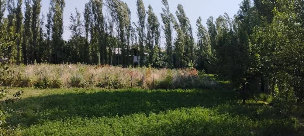 Plot in Yukori Chirchik district, 20 sotkas