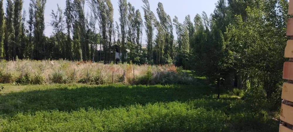 Plot in Yukori Chirchik district, 20 sotkas